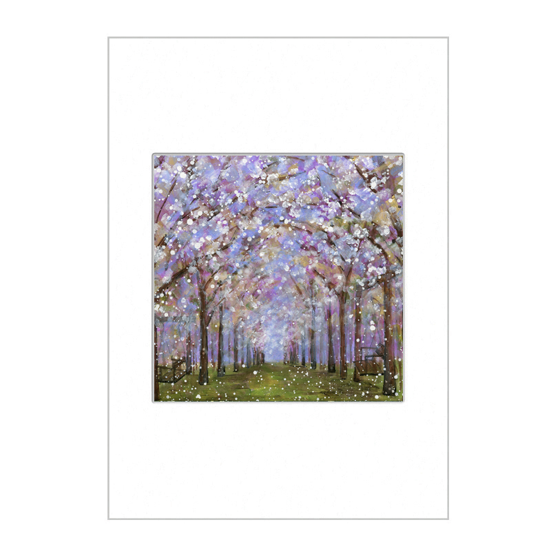 Alnwick Gardens - Taihaku Cherry Blossom  Mini Print A4